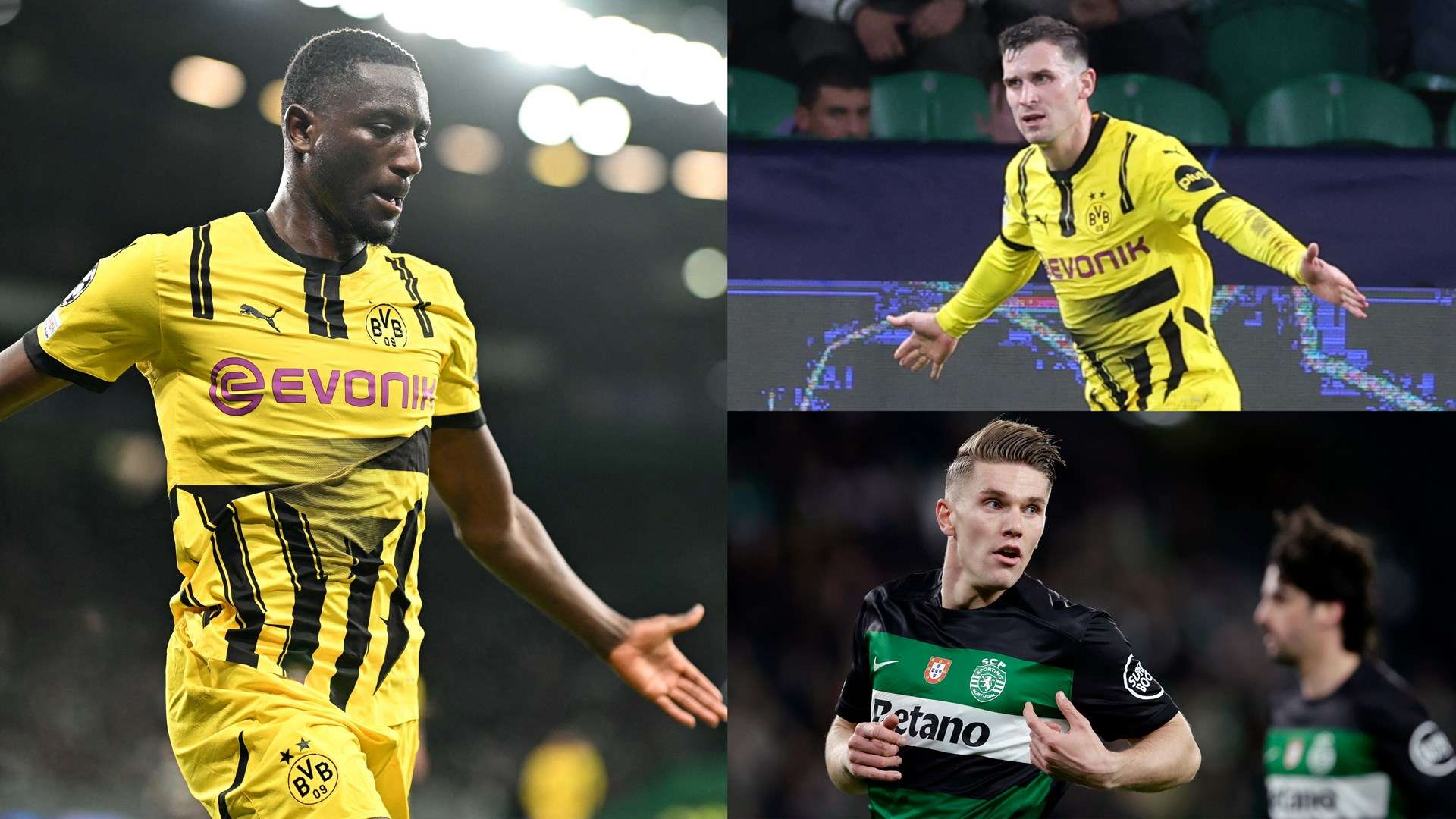 逐渐崭露头 逐渐崭露头